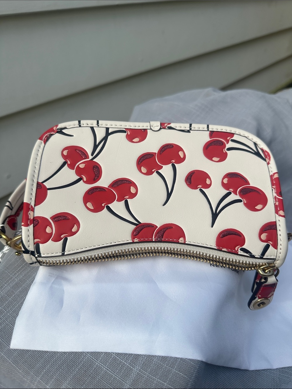 Coach Swinger 20 Shoulder Bag in Chalk Leather with Cherry Print - Picture 7 of 10